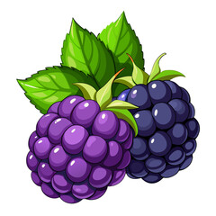Realistic Blackberry Fruit PNG Vector with Leaves &mdash; Fresh Organic Berries Illustration