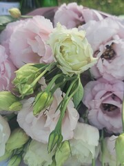 bouquet of pink roses