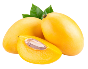 Succulent golden Marian plums, with one expertly sliced open to showcase its creamy seed, complemented by verdant