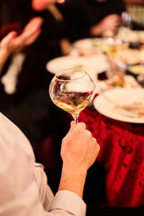 Elegant Woman Holding Wine Glass	