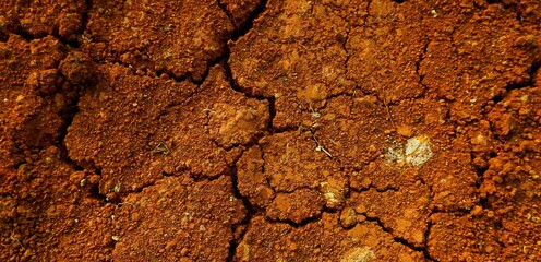 Long background, A close-up view of cracked red earth, symbolizing drought, dryness, and natural texture variations highlighting climate and environmental conditions.