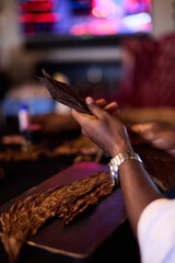 Cigar Maker Rolling Tobacco Leaf	