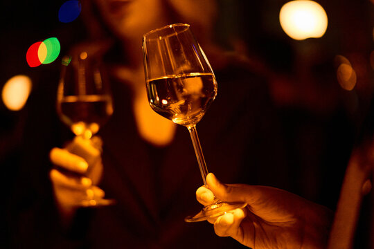 Elegant Woman Holding Wine Glass	