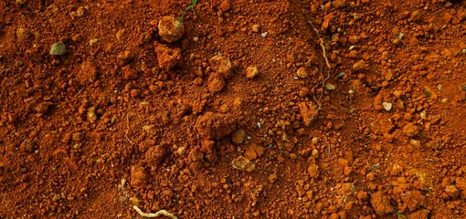 Long background, A close-up view of cracked red earth, symbolizing drought, dryness, and natural texture variations highlighting climate and environmental conditions.