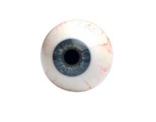 A detailed close-up of a realistic human eyeball featuring a vibrant blue iris and delicate red veins.