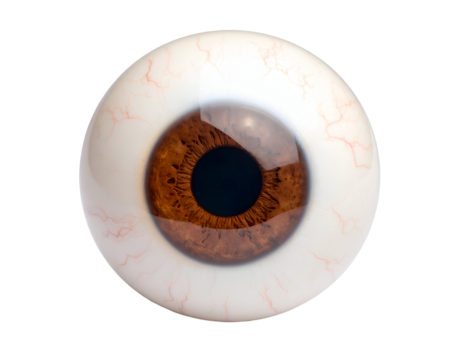 Captivating human eyeball showcasing a vibrant brown iris, deep pupil, and subtle red vascular details.
