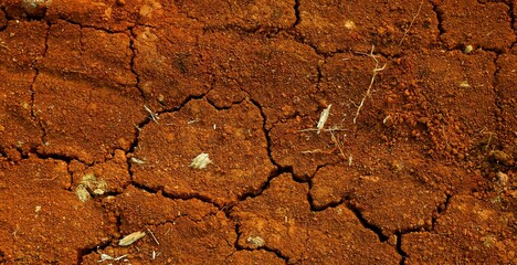 Long background, A close-up view of cracked red earth, symbolizing drought, dryness, and natural texture variations highlighting climate and environmental conditions.