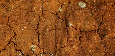 Long background, A close-up view of cracked red earth, symbolizing drought, dryness, and natural texture variations highlighting climate and environmental conditions.