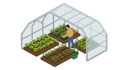 Isometric vector illustration of a greenhouse with person gardening for eco-friendly design