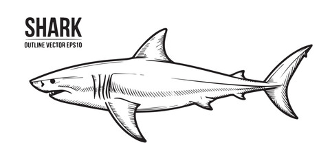 high-resolution shark outline vector eps file perfect for marine biology visuals, infographic elements, branding and web design
