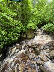 Stream in Jacques-Cartier National Park, a provincial park located 50 kilometres north of Quebec...