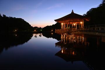 Fototapeta premium 奈良公園・浮見堂の夕景