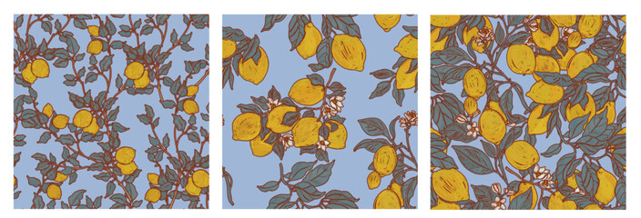 Blue citrus fruit summer patterns set. Botanical garden background collection in art deco provence style. Lemons in tree branches foliage