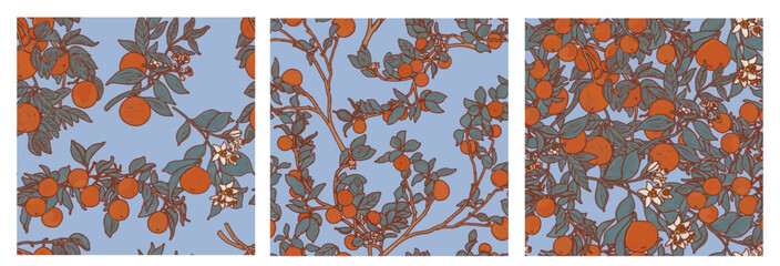 Set of three seamless blue summer patterns. Botanical orange orchard illustration. Citrus fruits print. Oranges, tangerines in tree foliage. Provence wallpaper.