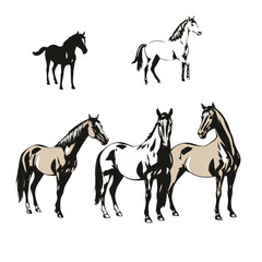 Majestic Standing Horse Silhouette &ndash; Detailed Vector Illustration of a Calm Equine Pose