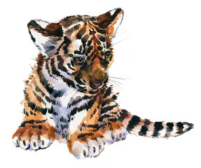 Watercolor painted Tiger cub isolate on transporent background
