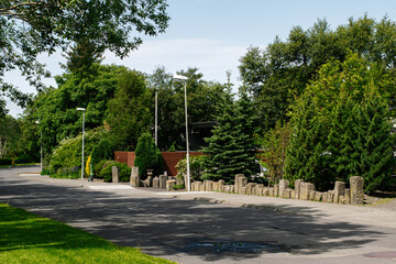 Beautiful green park street in Reykjavik, Iceland surrounded by lush greenery
