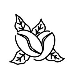 Coffee beans icon. coffee, beans, roast, aroma, caffeine, organic, seed, espresso. Vector Icon Illustration