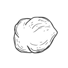 Hazelnuts hand drawn ink vector illustration. Whole and cut hazelnut kernels and nuts in shell.