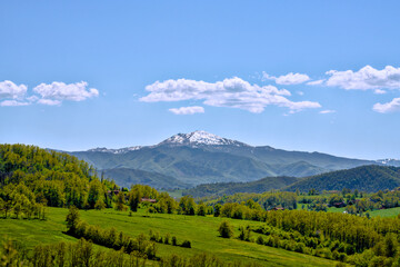 A snowcovered mountain is surrounded by lush trees and grass