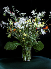 fiori di giardino
