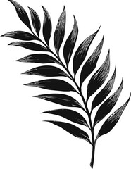 Obraz premium Black and white illustration of a detailed palm leaf
