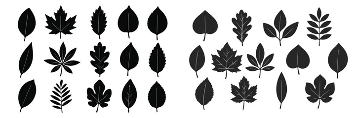 Various black silhouettes of leaves showcasing diverse shapes and sizes, suitable for design and nature themes