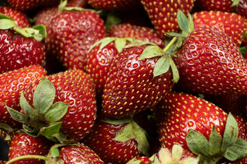 Ripe Strawberries Close-Up. Summer Fruit Pattern for Advertisement.
