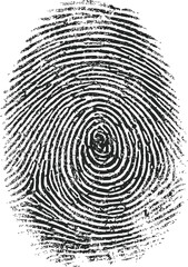 Black and white detailed fingerprint pattern