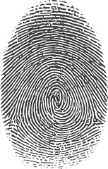 Black fingerprint pattern, concept of identity uniqueness