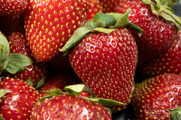 Many fresh strawberries top view. Organic berry texture background.
