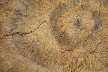 Textura, detalle de una roca erosionada