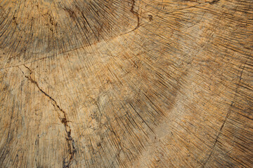 Textura, detalle de una roca erosionada