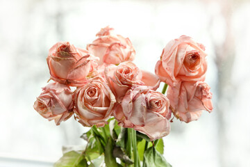 The bouquet of wilted pink roses