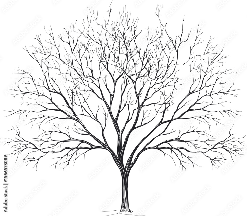 Poster Intricate sketch of a bare tree with detailed branches