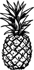 Black and white illustration of a pineapple with detailed textures