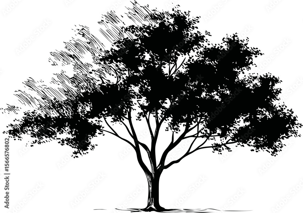 Poster silhouette of large tree with detailed branches and leaves