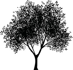 Silhouette of a large leafy tree with dense branches and vibrant foliage