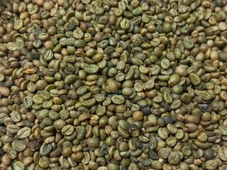 Fresh dry green coffee beans as background. Dried green coffee beans. Close up of green coffee beans. Unroasted coffee beans.