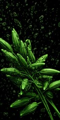 Fototapeta premium A Close-Up of Vibrant Green Leaves with Dewdrops, Embodying the Freshness and Vitality of Life