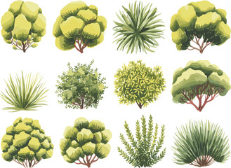 Collection of green shrubs, bushes and tropical trees, garden landscaping plants, decorative foliage elements, isolated vector illustration for design flat vector illustration