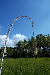 swinging penjor in balinese culture represent Balinese Raya