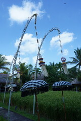 swinging penjor in balinese culture represent Balinese Raya