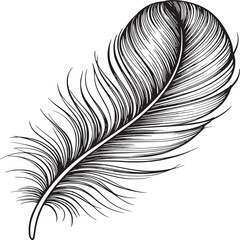 Obraz premium Feather illustration black and white drawing vector graphic design element isolated on white background on transparent background