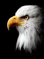 Obraz premium A Close-Up of a Majestic Eagle's Gaze