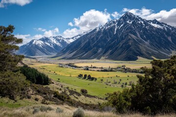 A Glimpse of Nature's Majesty