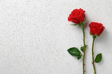 Two vibrant red roses stand out against a white backdrop speckled with water droplets, symbolizing love and purity