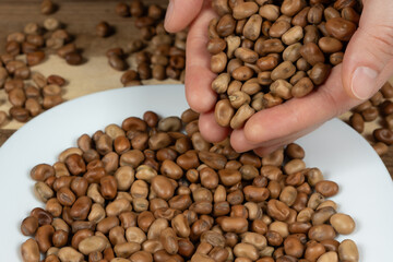 Handful of raw uncooked vicia faba beans close-up