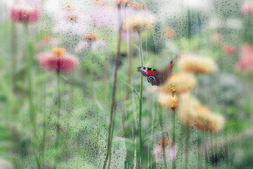 Spring flowers and blooming trees viewed through foggy glass with water droplets. Soft focus, dreamy seasonal background perfect for wallpapers and mood visuals