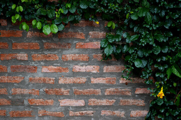 Leaf keeper on brick wall background.